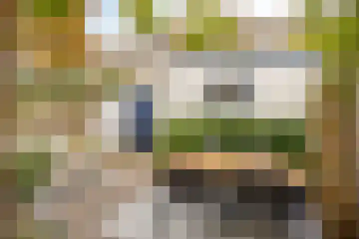 Ackersdijckstraat 34 's-Hertogenbosch thumbnail 36