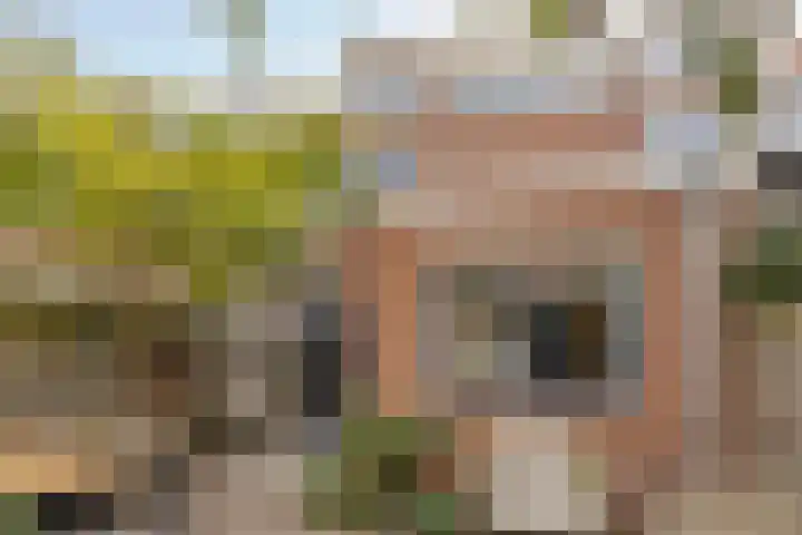 Ackersdijckstraat 34 's-Hertogenbosch thumbnail 38