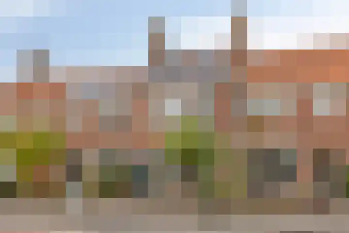 Ackersdijckstraat 34 's-Hertogenbosch thumbnail 39