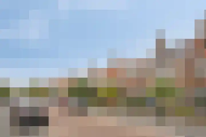 Ackersdijckstraat 34 's-Hertogenbosch thumbnail 41