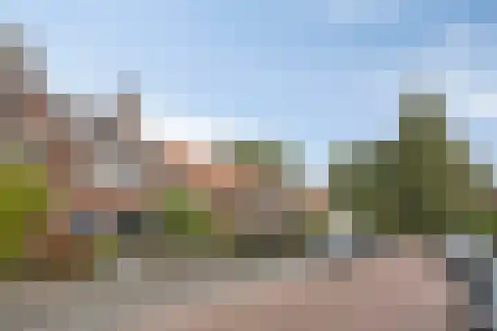 Ackersdijckstraat 34 's-Hertogenbosch thumbnail 42