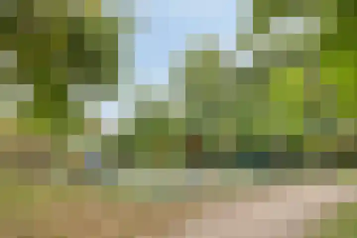 Ackersdijckstraat 34 's-Hertogenbosch thumbnail 43