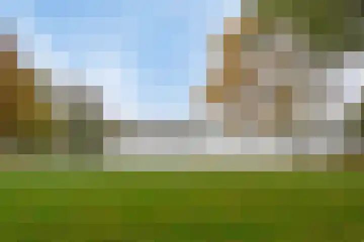 Ackersdijckstraat 34 's-Hertogenbosch thumbnail 47