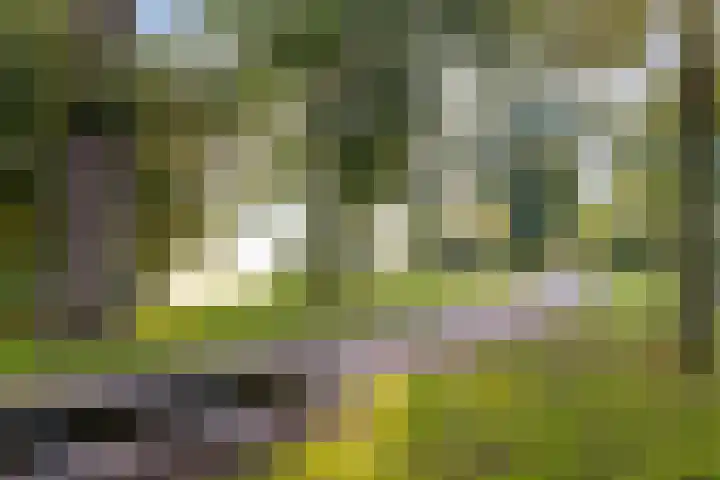 Ackersdijckstraat 34 's-Hertogenbosch thumbnail 49
