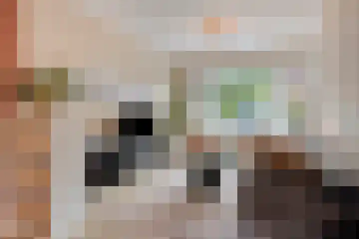 Ackersdijckstraat 34 's-Hertogenbosch thumbnail 9