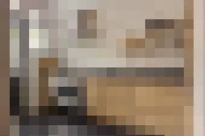 Ackersdijckstraat 37 's-Hertogenbosch thumbnail 15