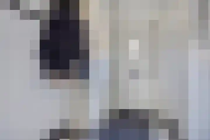 Ackersdijckstraat 37 's-Hertogenbosch thumbnail 33