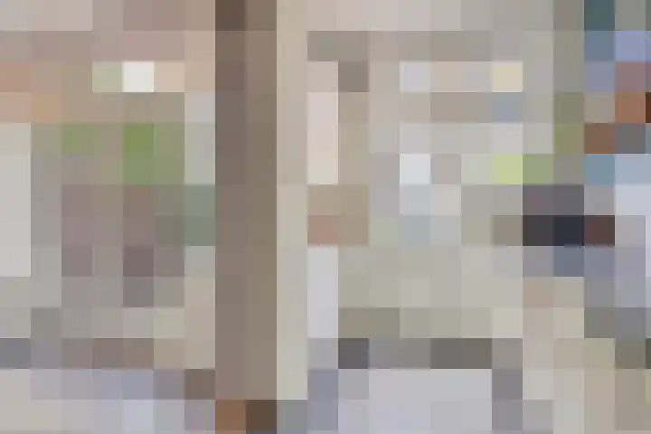 Ackersdijckstraat 44 's-Hertogenbosch thumbnail 16
