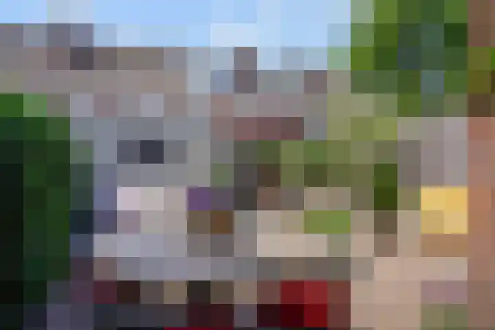 Ackersdijckstraat 44 's-Hertogenbosch thumbnail 19
