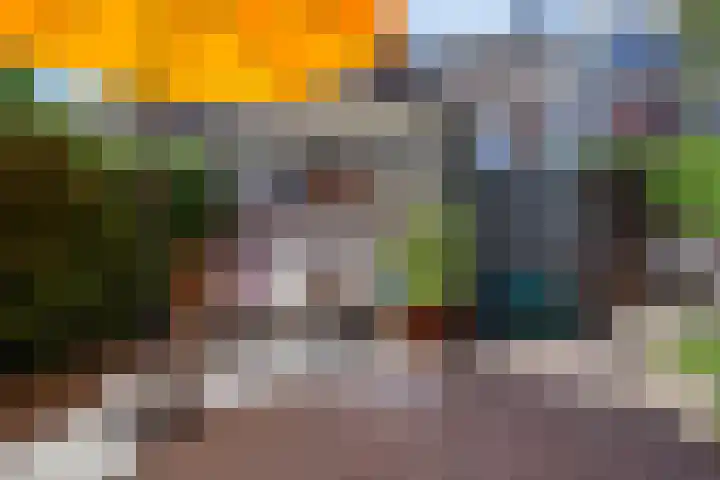 Ackersdijckstraat 44 's-Hertogenbosch thumbnail 21