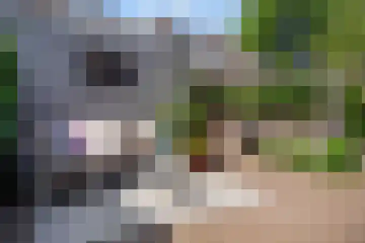 Ackersdijckstraat 44 's-Hertogenbosch thumbnail 22