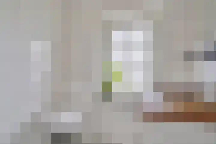 Ackersdijckstraat 44 's-Hertogenbosch thumbnail 34