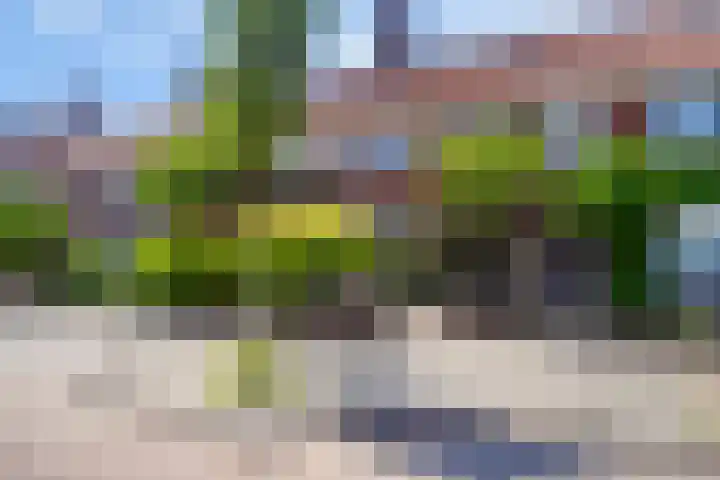 Ackersdijckstraat 44 's-Hertogenbosch thumbnail 40