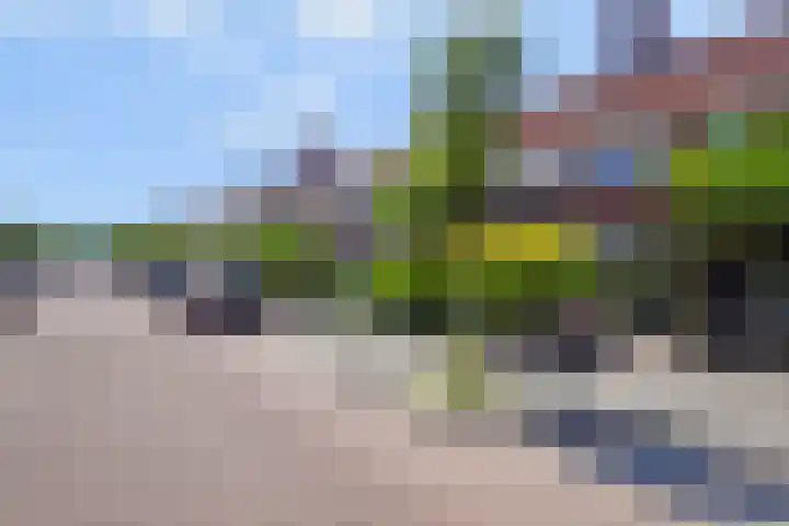 Ackersdijckstraat 44 's-Hertogenbosch thumbnail 41