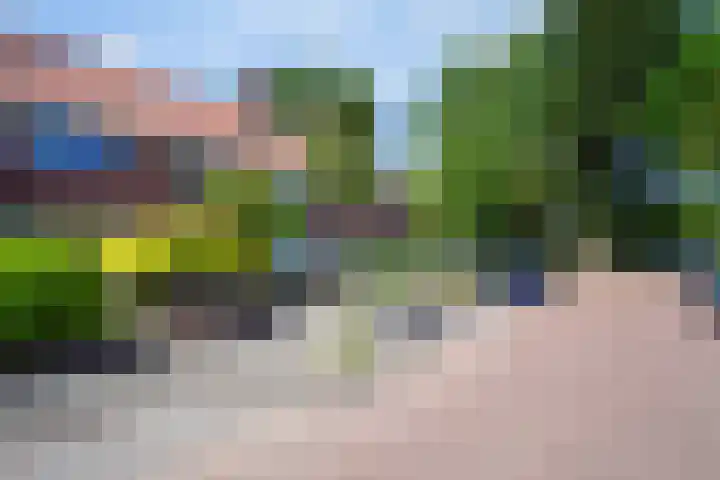 Ackersdijckstraat 44 's-Hertogenbosch thumbnail 42
