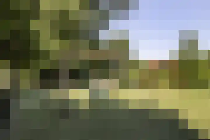 Ackersdijckstraat 44 's-Hertogenbosch thumbnail 44