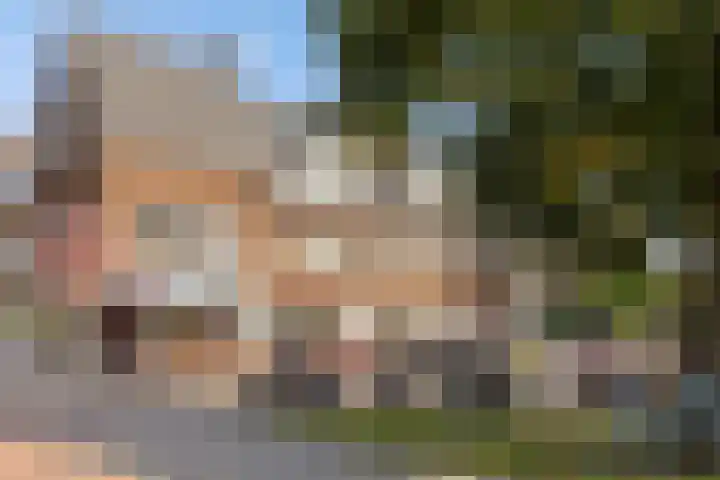 Ackersdijckstraat 44 's-Hertogenbosch thumbnail 45