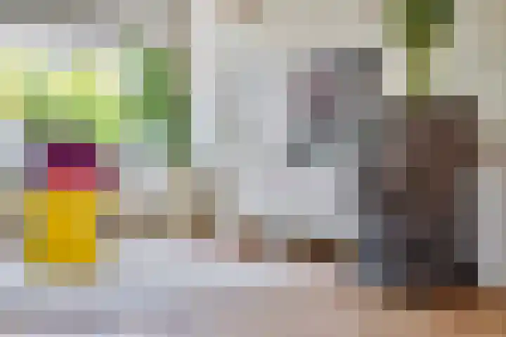 Ackersdijckstraat 44 's-Hertogenbosch thumbnail 7