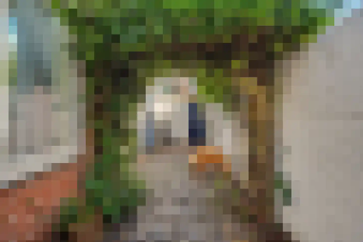 Ackersdijckstraat 5 's-Hertogenbosch thumbnail 29