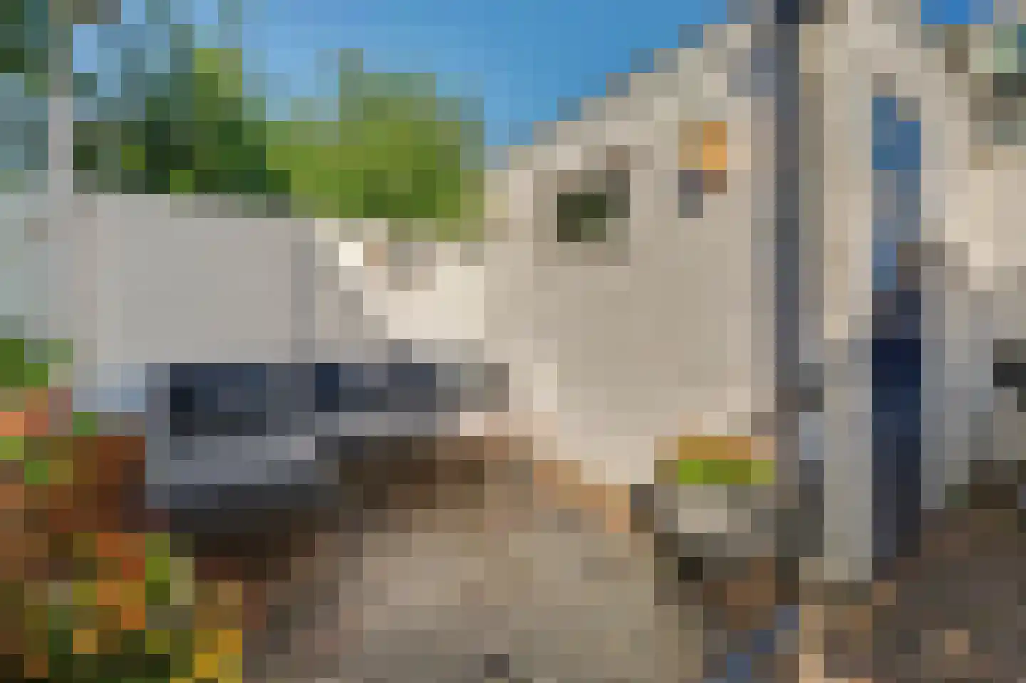Ackersdijckstraat 5 's-Hertogenbosch thumbnail 30