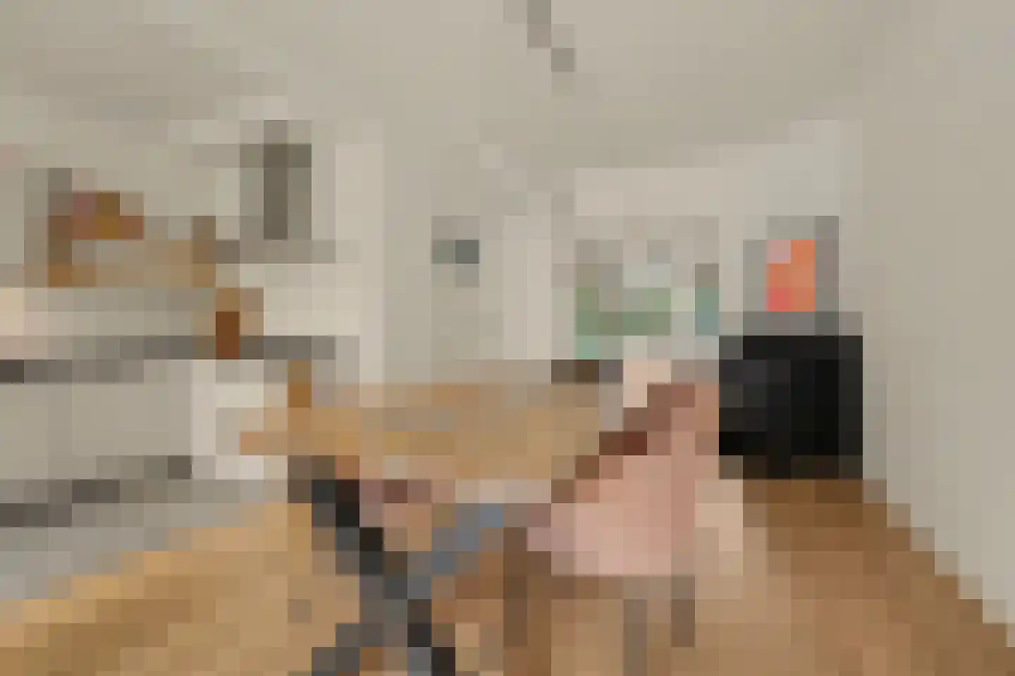 Ackersdijckstraat 5 's-Hertogenbosch thumbnail 4
