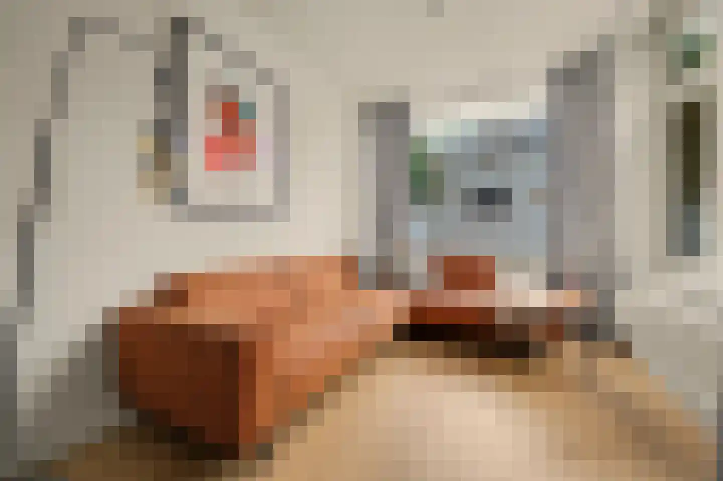 Ackersdijckstraat 5 's-Hertogenbosch thumbnail 5