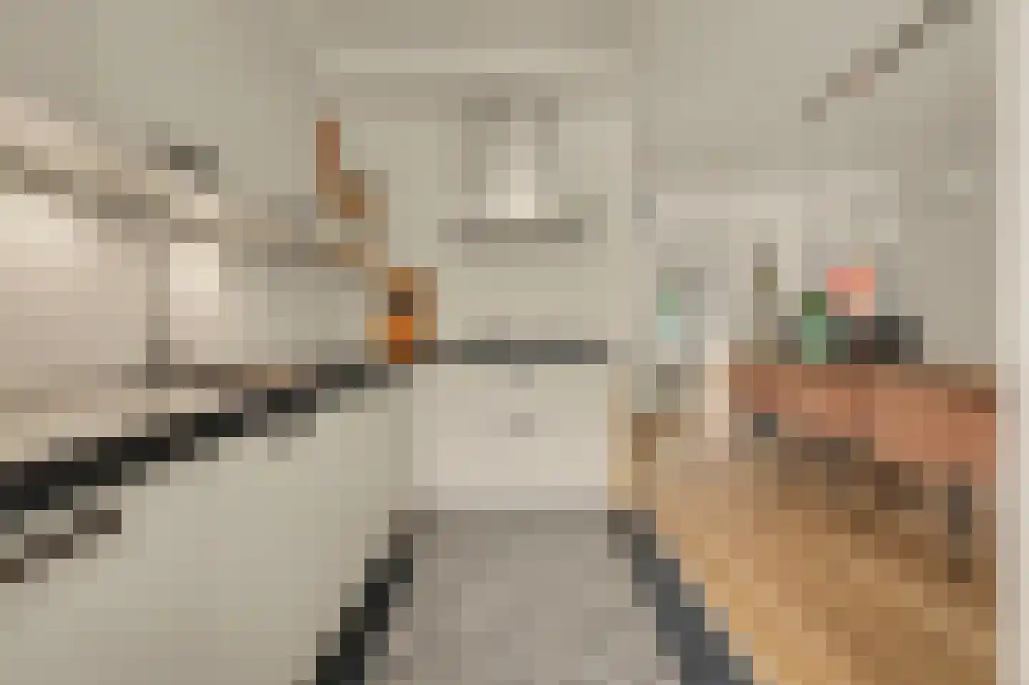 Ackersdijckstraat 5 's-Hertogenbosch thumbnail 8
