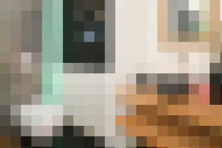 Ackersdijkseweg 6 Delfgauw thumbnail 10