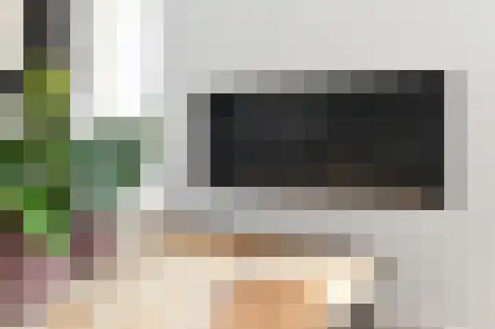 Ackersdijkseweg 6 Delfgauw thumbnail 12