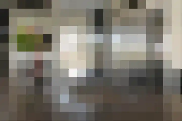 Ackersdijkseweg 6 Delfgauw thumbnail 15