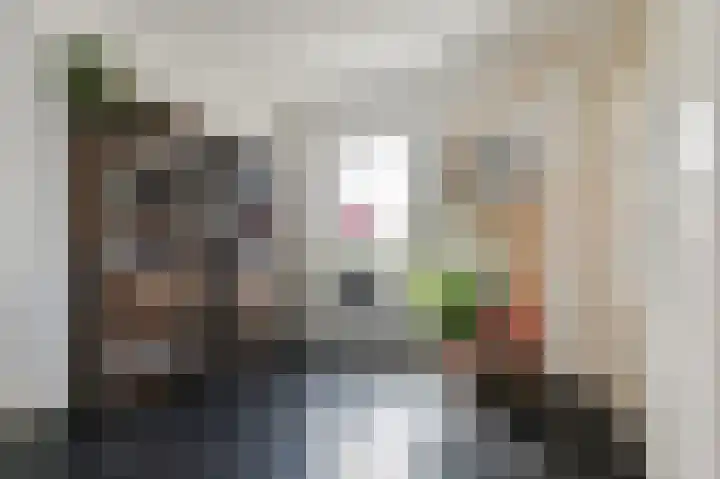 Ackersdijkseweg 6 Delfgauw thumbnail 19