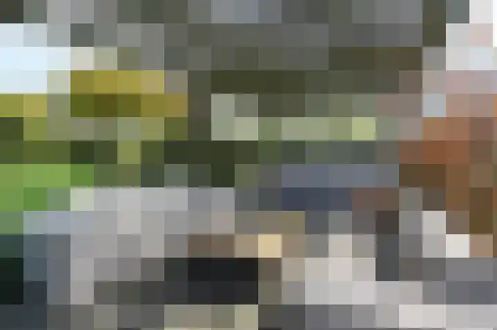 Ackersdijkseweg 6 Delfgauw thumbnail 29