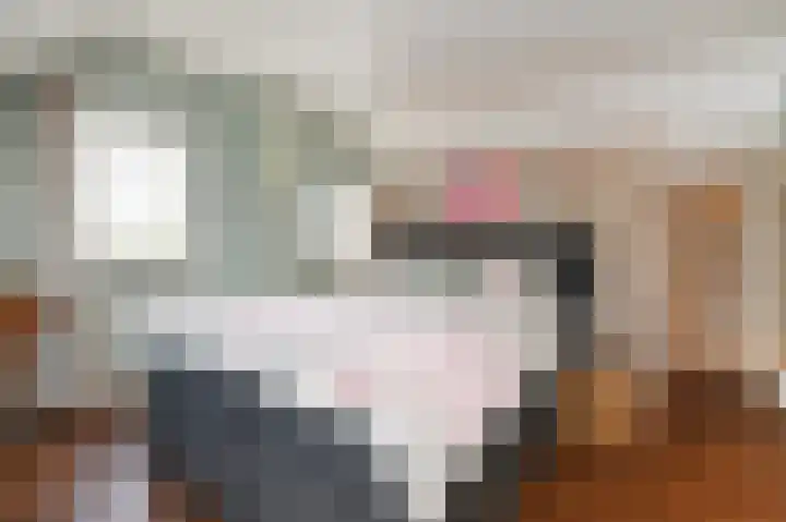 Ackersdijkseweg 6 Delfgauw thumbnail 31