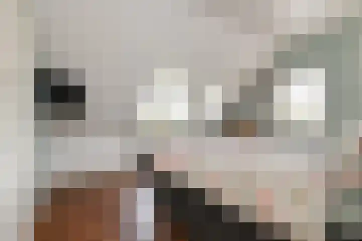 Ackersdijkseweg 6 Delfgauw thumbnail 32