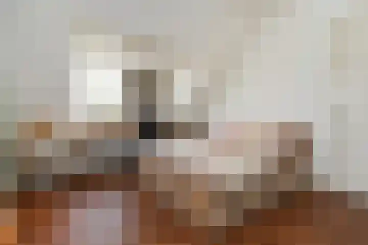 Ackersdijkseweg 6 Delfgauw thumbnail 36