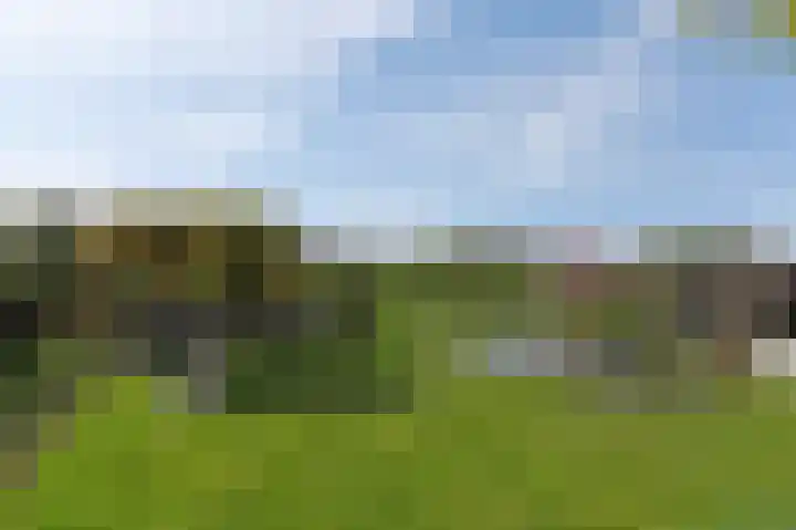 Ackersdijkseweg 6 Delfgauw thumbnail 45