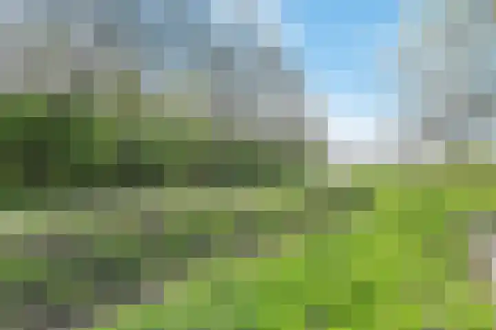 Ackersdijkseweg 6 Delfgauw thumbnail 46