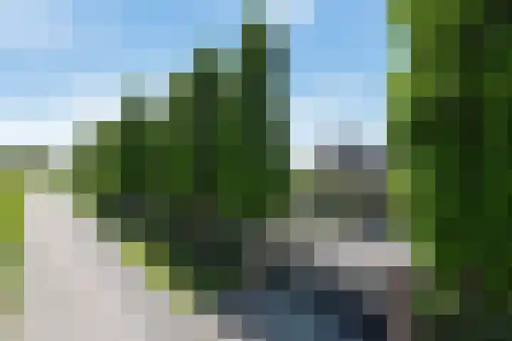 Ackersdijkseweg 6 Delfgauw thumbnail 5