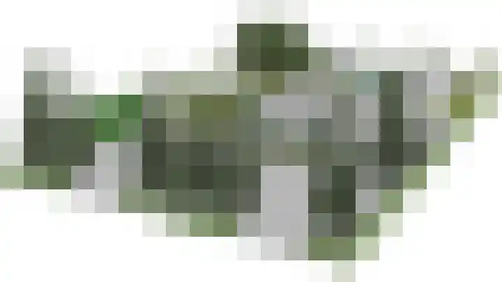 Ackersdijkseweg 6 Delfgauw thumbnail 58