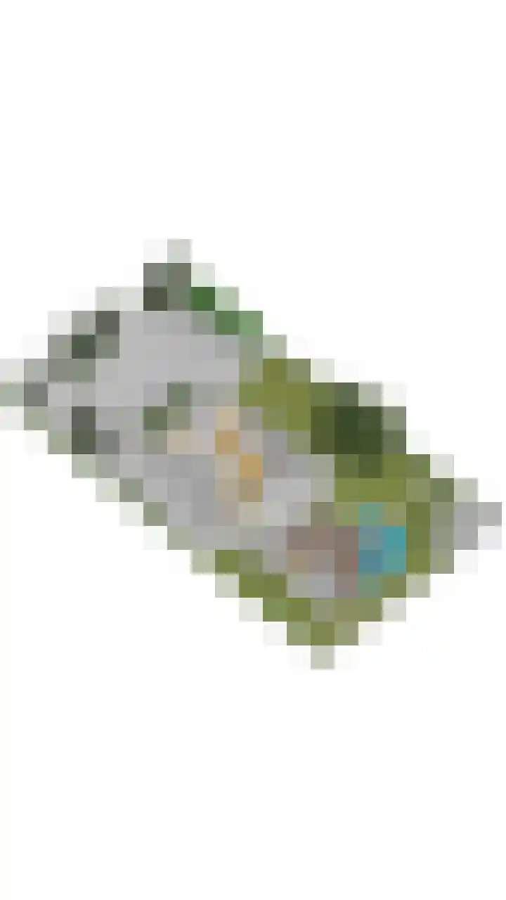Ackersdijkseweg 6 Delfgauw thumbnail 59
