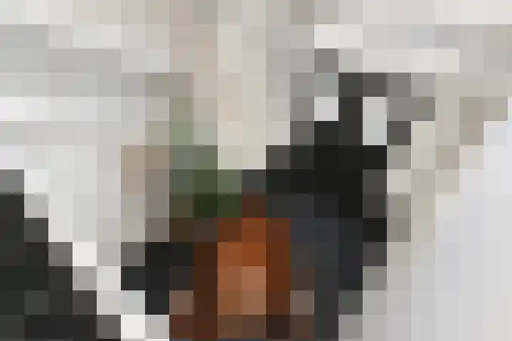Ackersdijkseweg 6 Delfgauw thumbnail 9