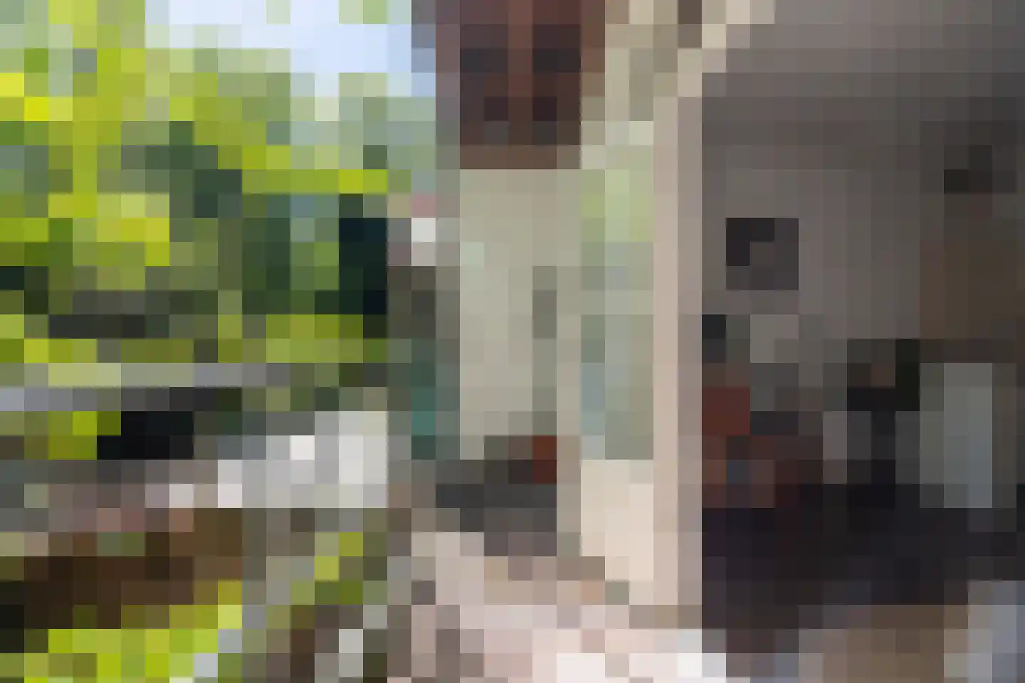 Ackersdijkstraat 54 A Rotterdam thumbnail 13