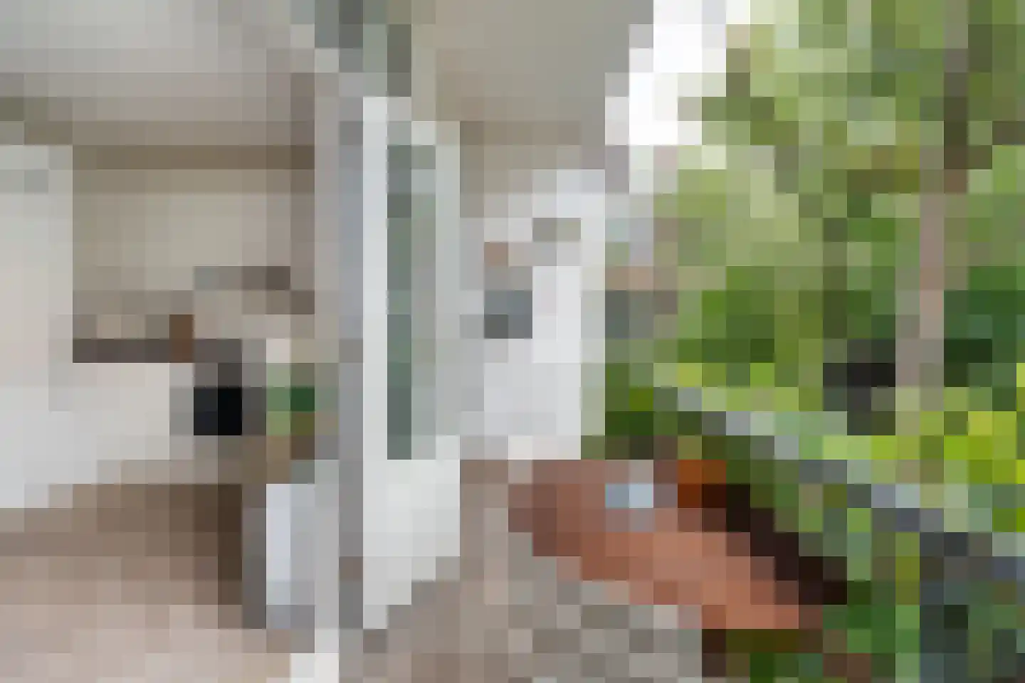 Ackersdijkstraat 79 A Rotterdam thumbnail 21