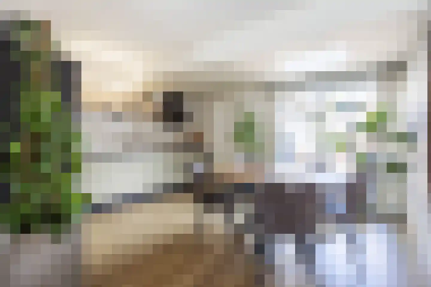 Aconietenhof 12 Winsum thumbnail 11