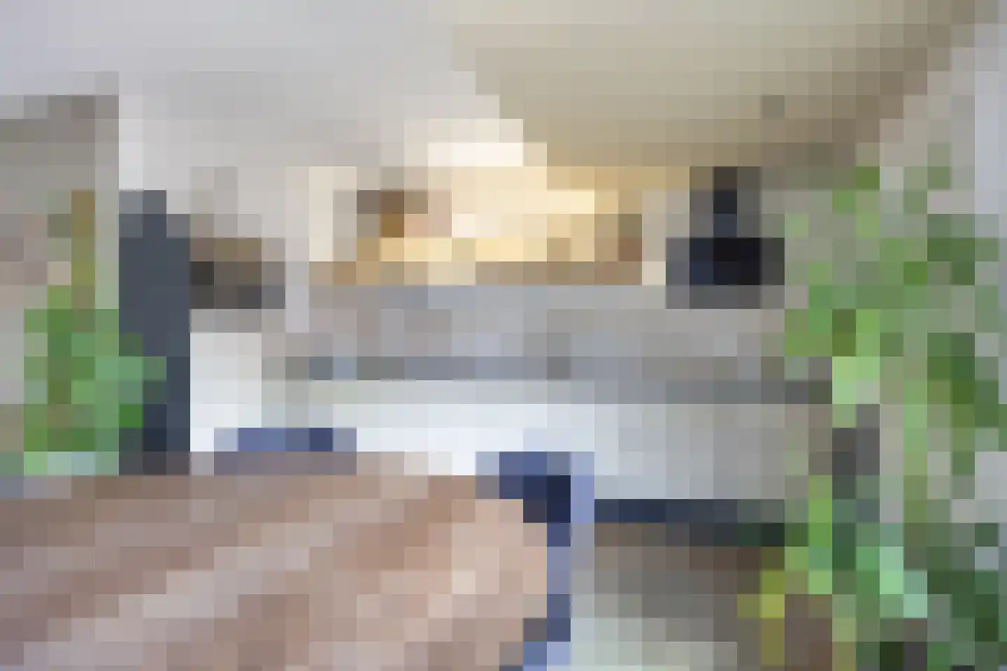Aconietenhof 12 Winsum thumbnail 12
