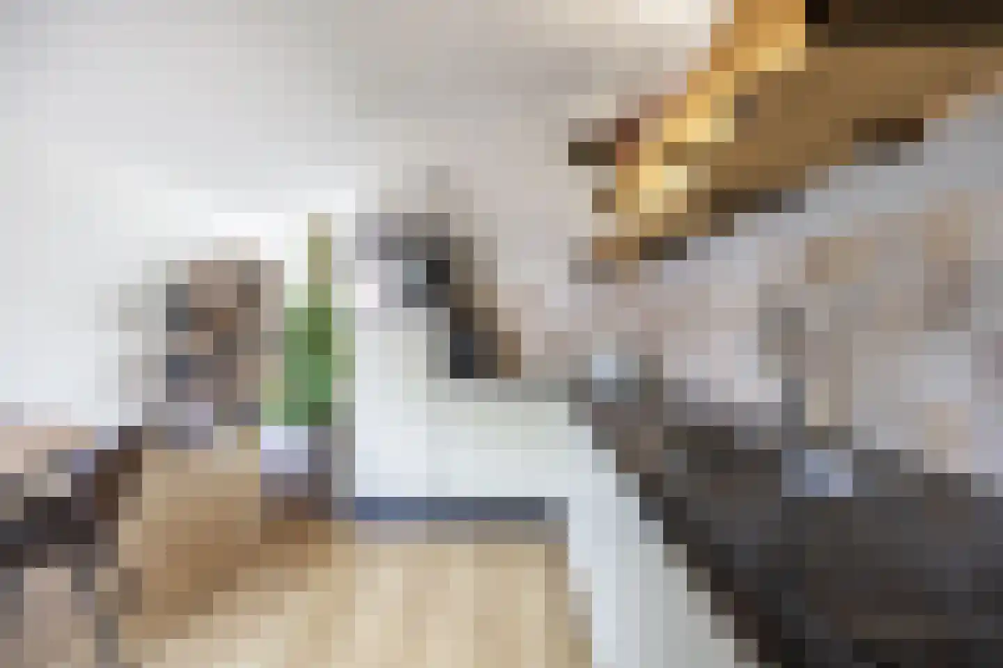 Aconietenhof 12 Winsum thumbnail 13