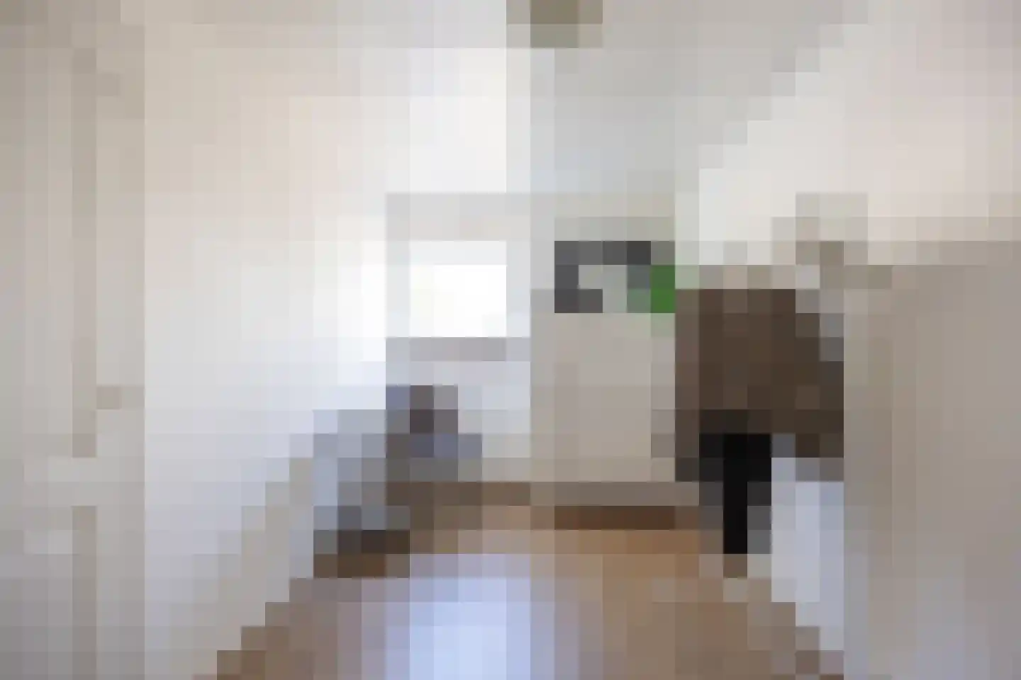Aconietenhof 12 Winsum thumbnail 19