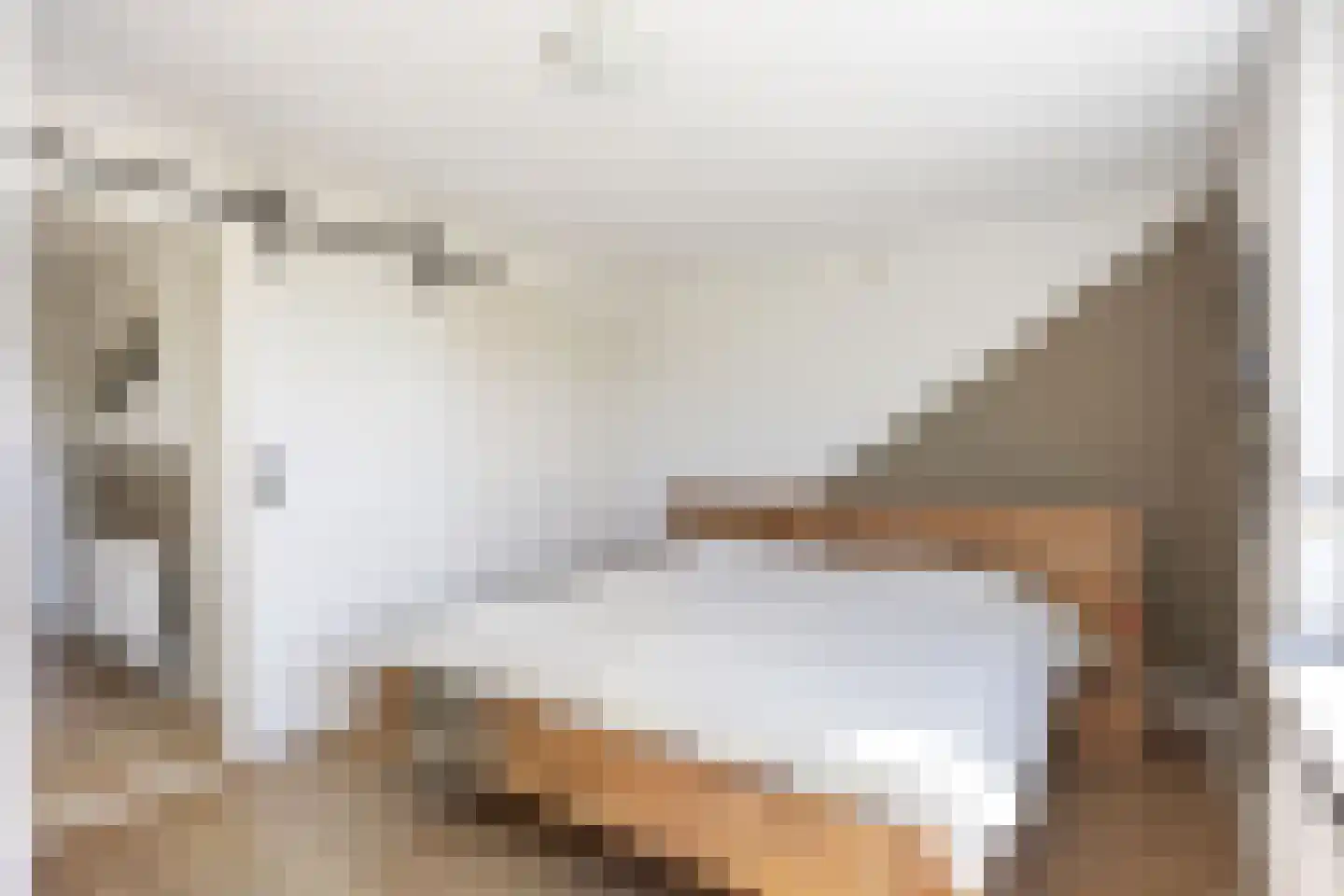 Aconietenhof 12 Winsum thumbnail 20