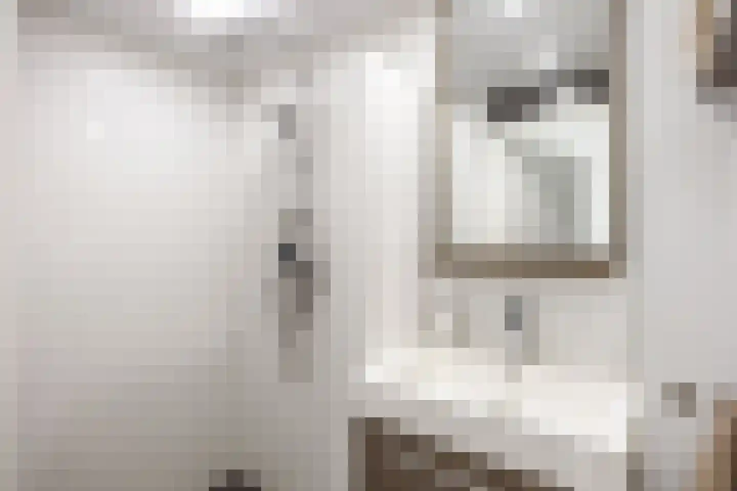 Aconietenhof 12 Winsum thumbnail 22