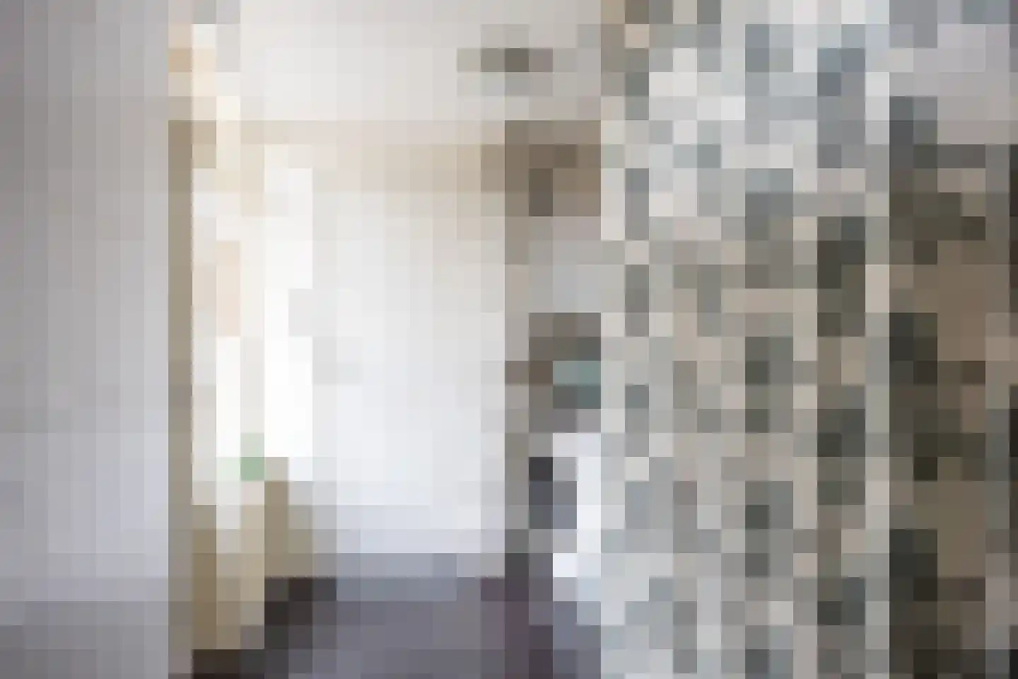 Aconietenhof 12 Winsum thumbnail 24